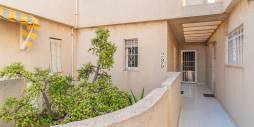 Second hand - Apartment - Torrevieja - Los Frutales