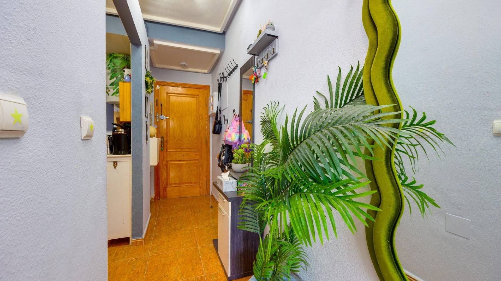 Second hand - Apartment - Torrevieja - parque avenidas