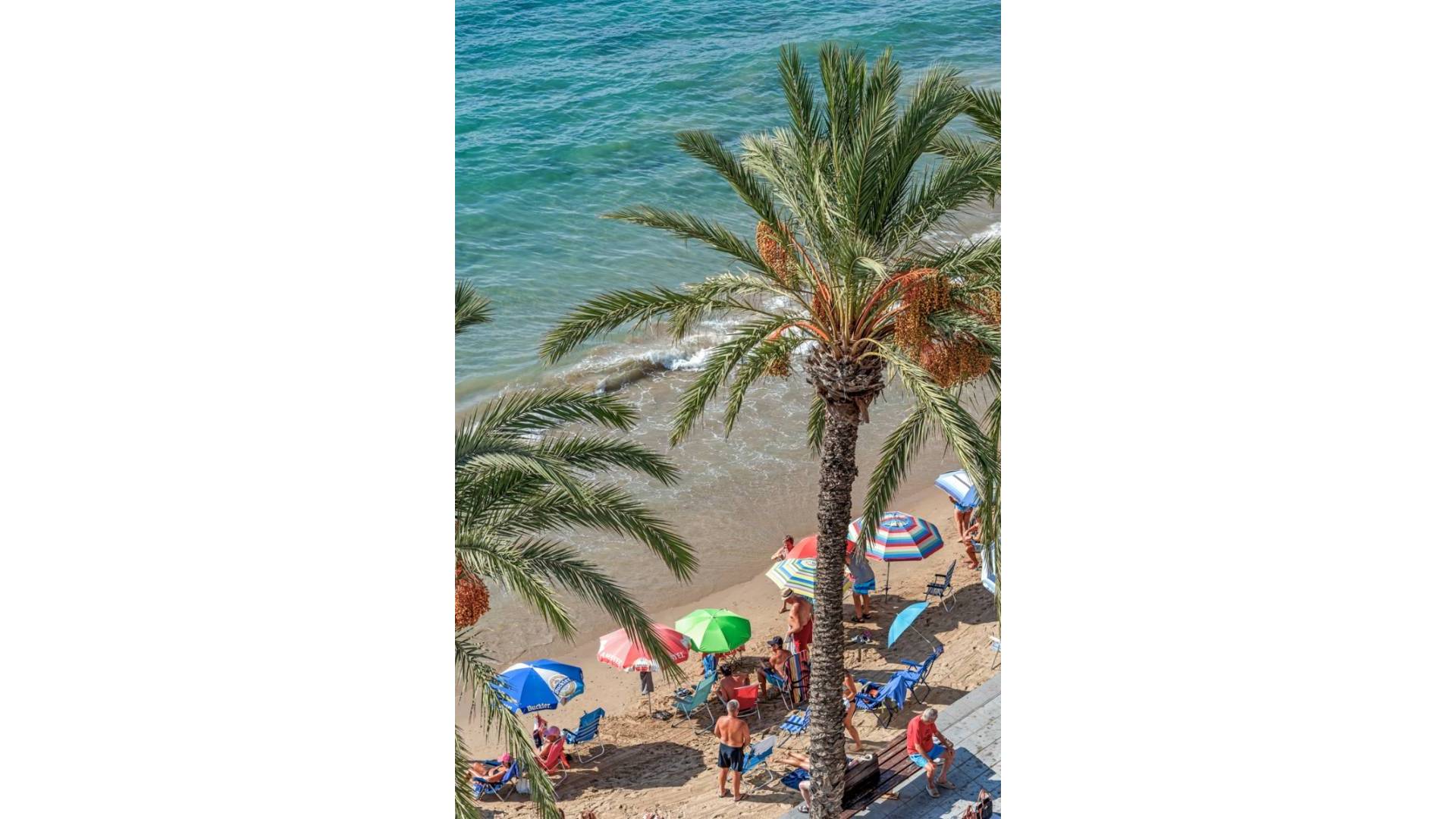 Second hand - Apartment - Torrevieja - Playa del Cura