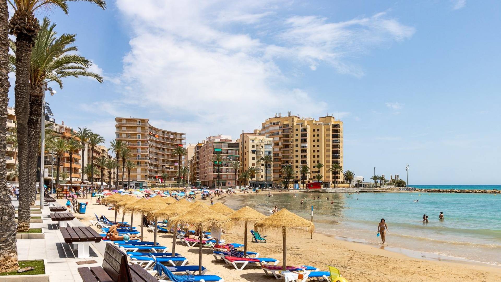 Second hand - Apartment - Torrevieja - Playa del Cura