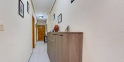 Second hand - Apartment - Torrevieja - Playa del Cura