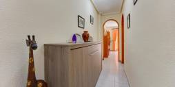 Second hand - Apartment - Torrevieja - Playa del Cura