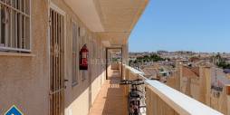 Second hand - Apartment - Torrevieja - Playa del Cura