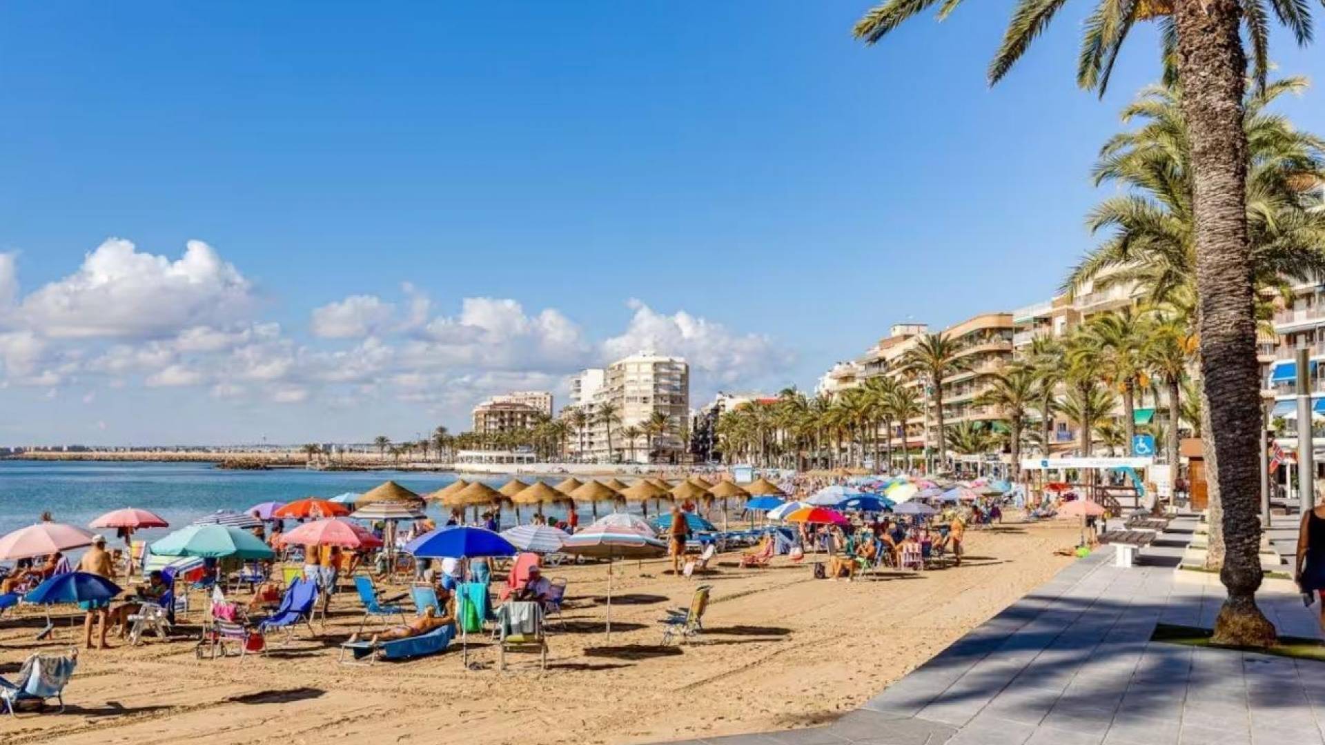 Second hand - Apartment - Torrevieja - Playa del Cura