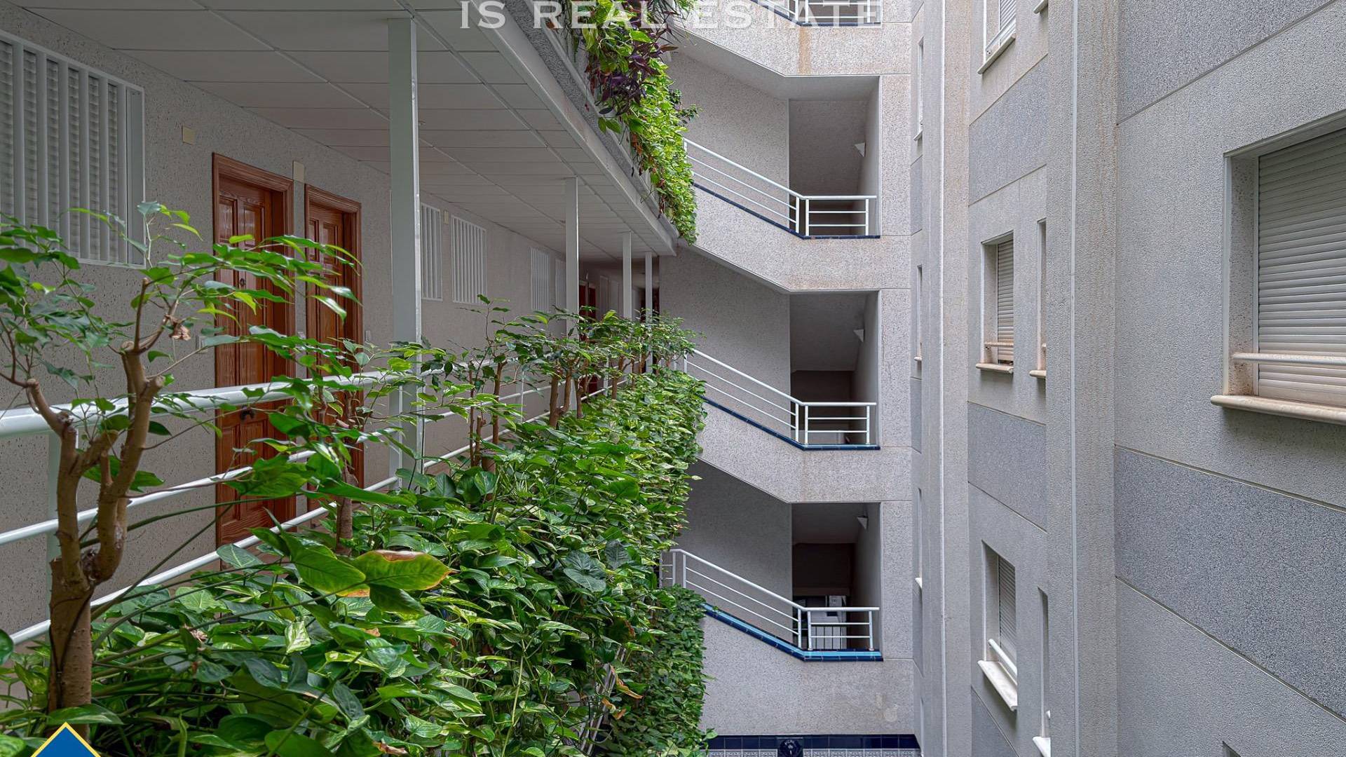 Second hand - Apartment - Torrevieja - Playa del Cura