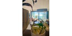 Second hand - Apartment - Torrevieja - Punta Prima