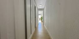 Second hand - Apartment - Torrevieja - torrevieja