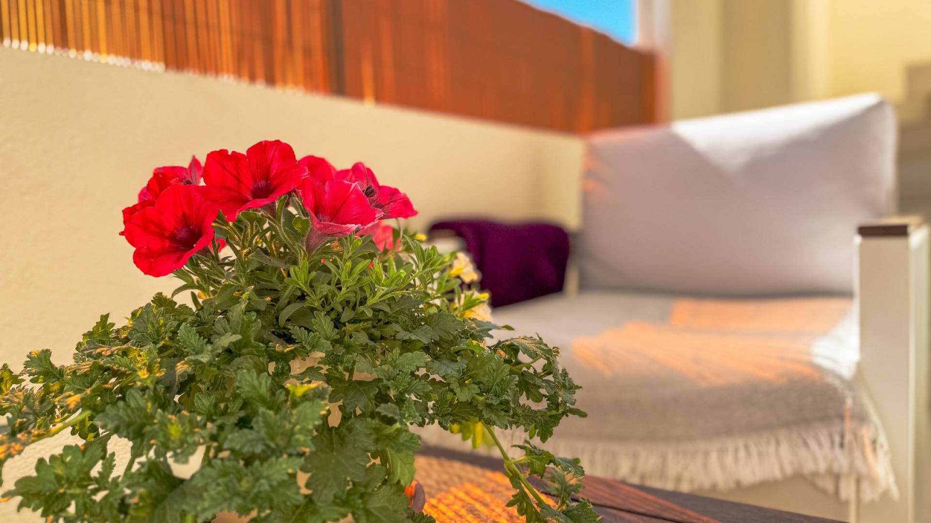 Second hand - Bungalow - Los Altos