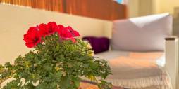 Second hand - Bungalow - Los Altos