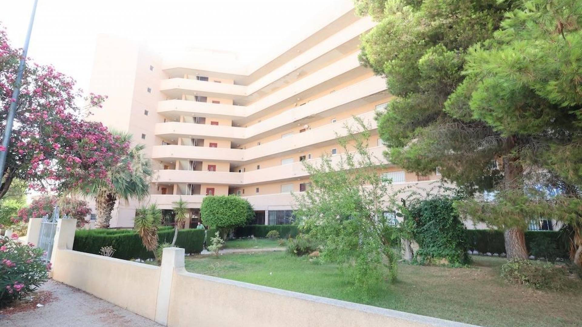Second hand - Commercial premises - Orihuela Costa - La Zenia