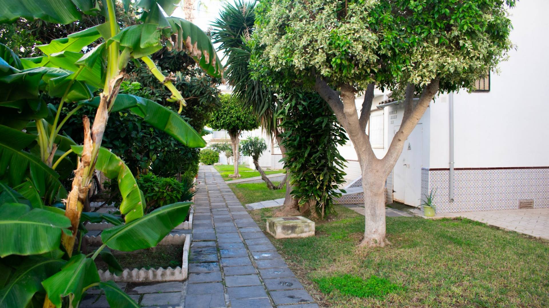 Second hand - Duplex - Torrevieja