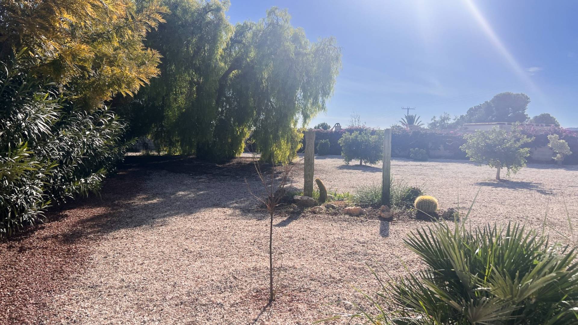 Second hand - Finca Country Property - Alicante - Moralet - Cañada del Fenollar