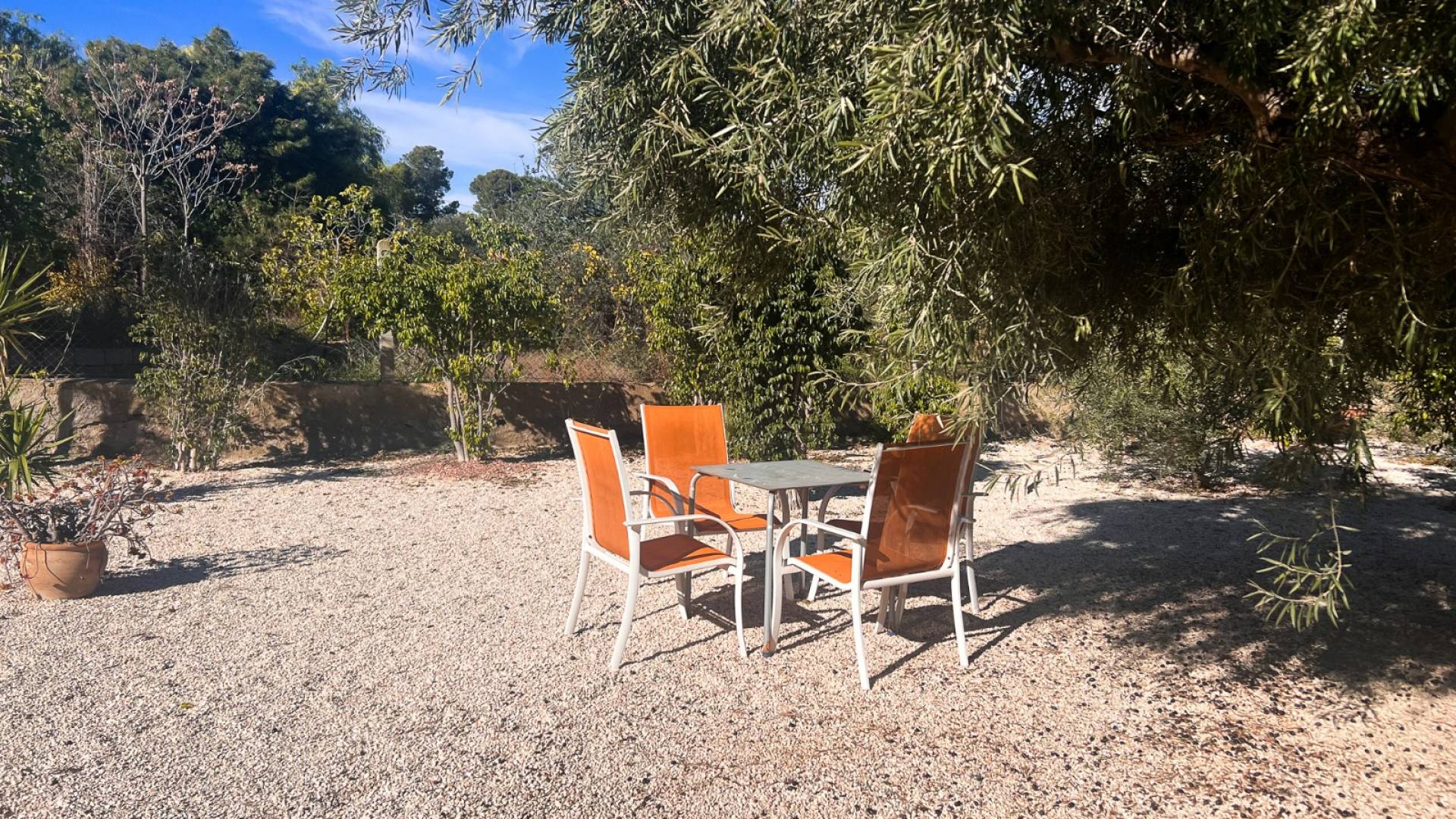 Second hand - Finca Country Property - Alicante - Moralet - Cañada del Fenollar