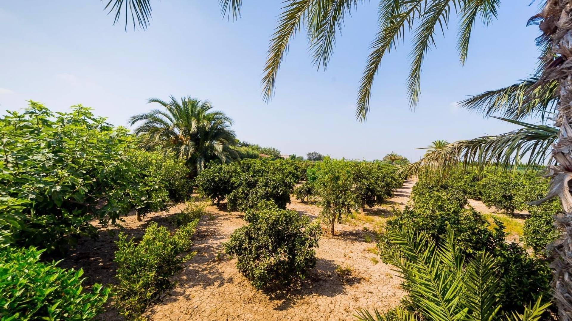 Second hand - Finca Country Property - Almoradi - Almoradí