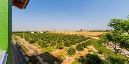 Second hand - Finca Country Property - Almoradi - Almoradí