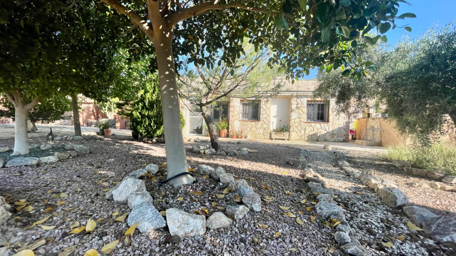Second hand - Finca Country Property - Crevillente