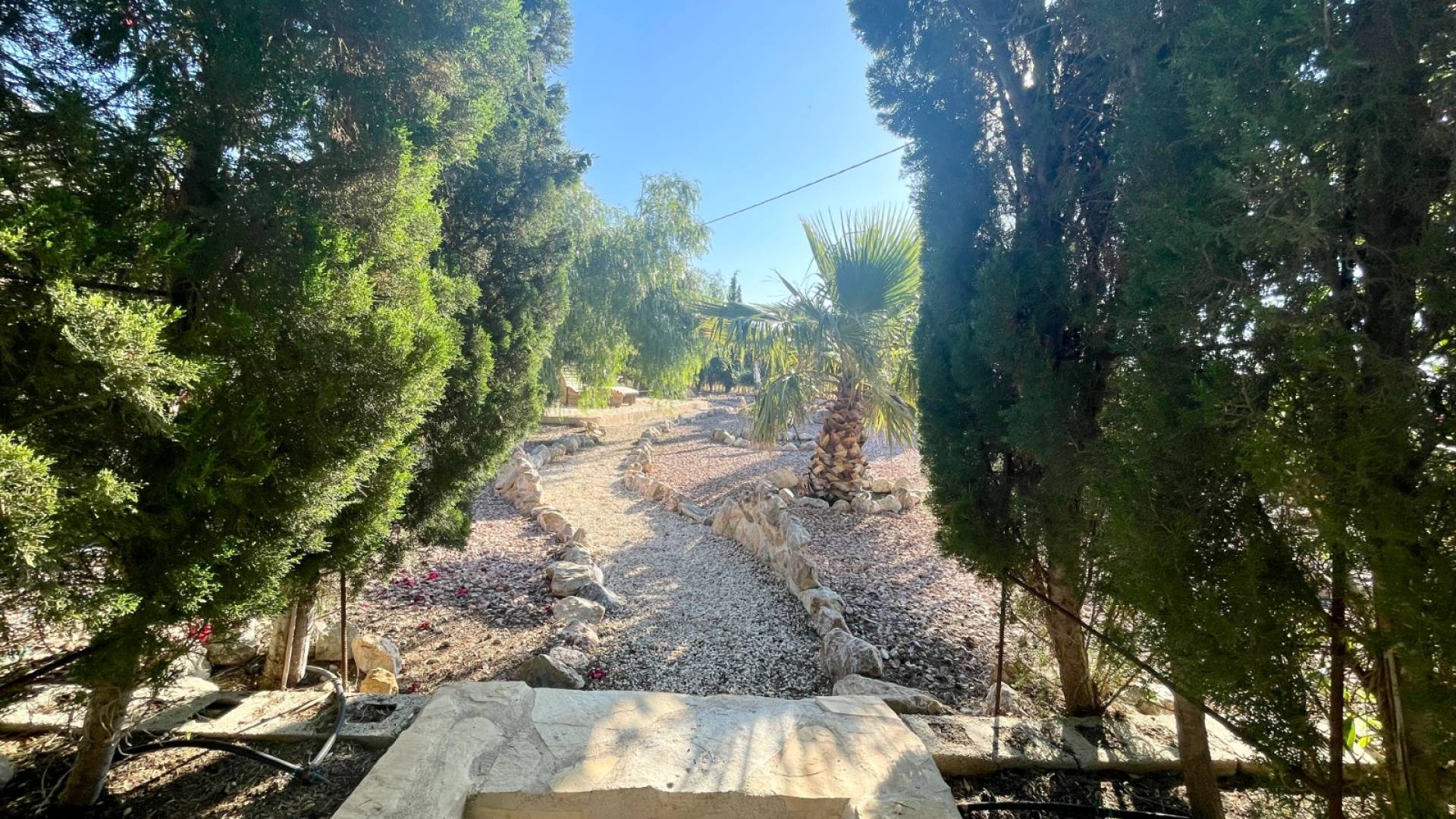 Second hand - Finca Country Property - Crevillente