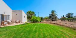 Second hand - Finca Country Property - Elche - Las Bayas