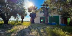 Second hand - Finca Country Property - Guardamar del Segura