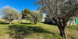 Second hand - Finca Country Property - Guardamar del Segura