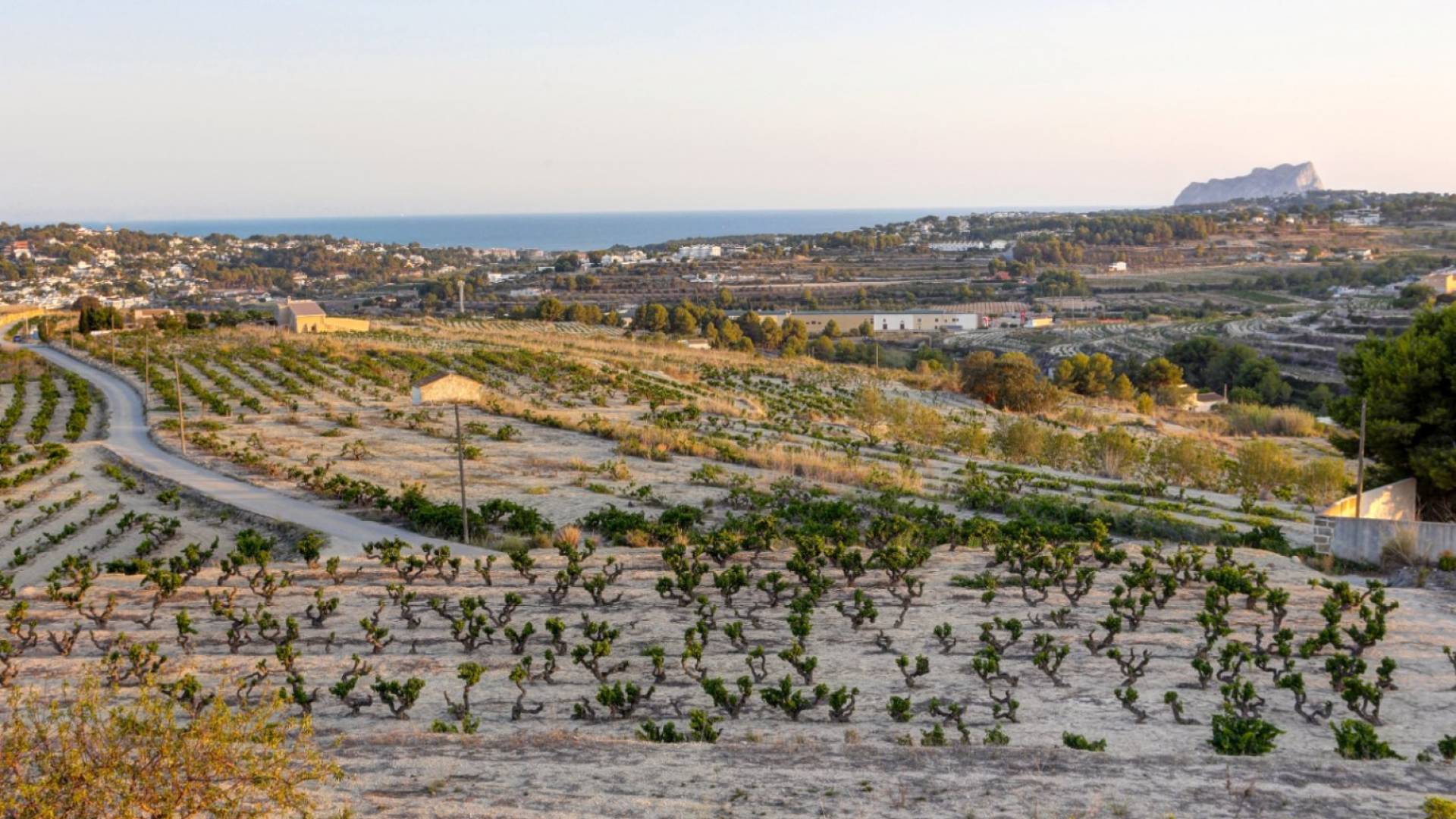 Second hand - Finca Country Property - Moraira - Campo