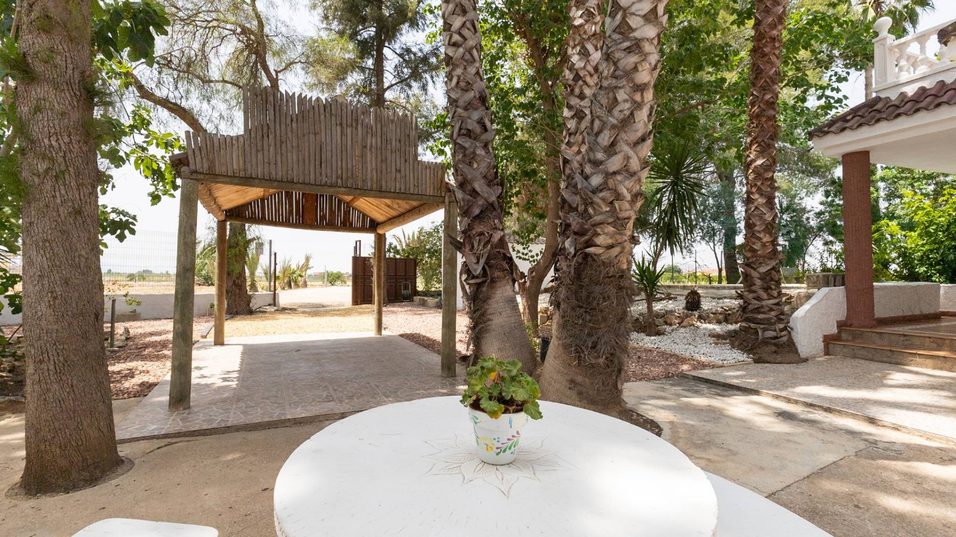 Second hand - Finca Country Property - Orihuela - Partida de Arneva