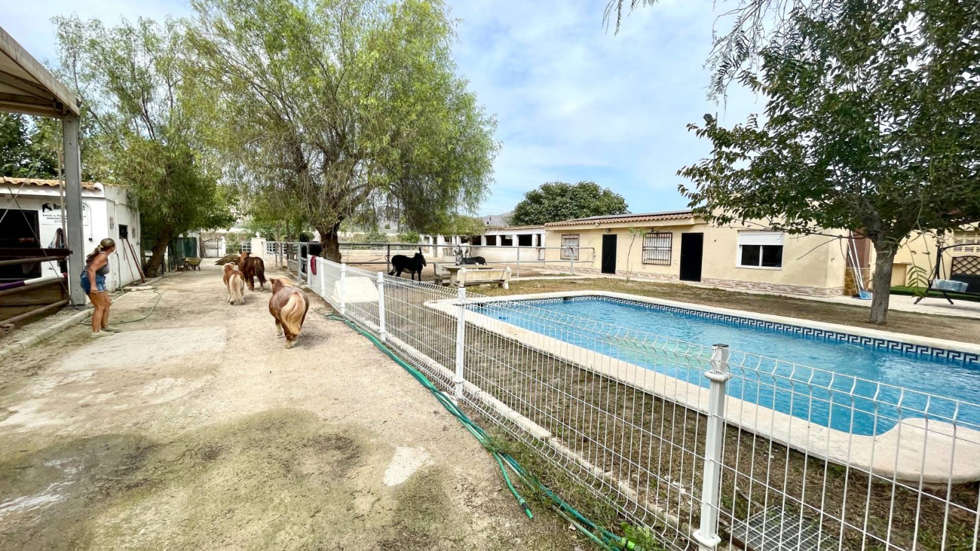 Second hand - Finca Country Property - Orihuela