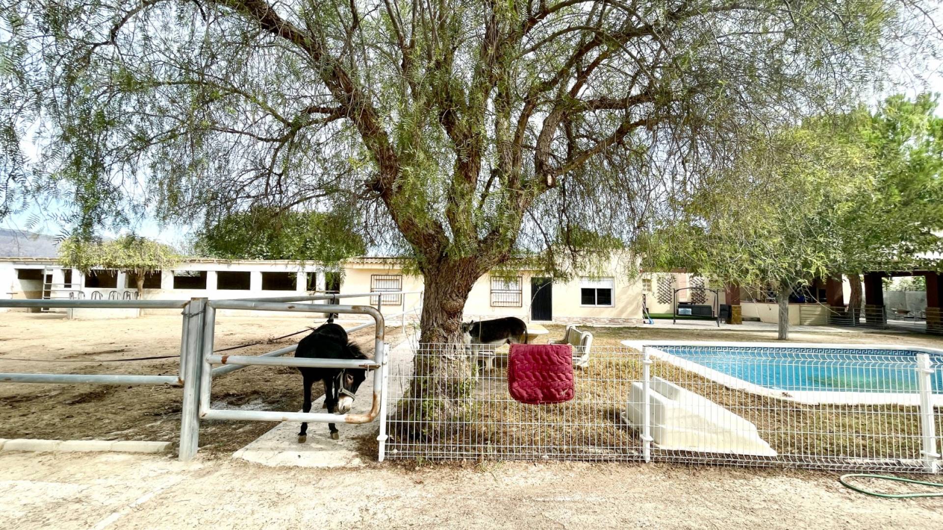 Second hand - Finca Country Property - Orihuela