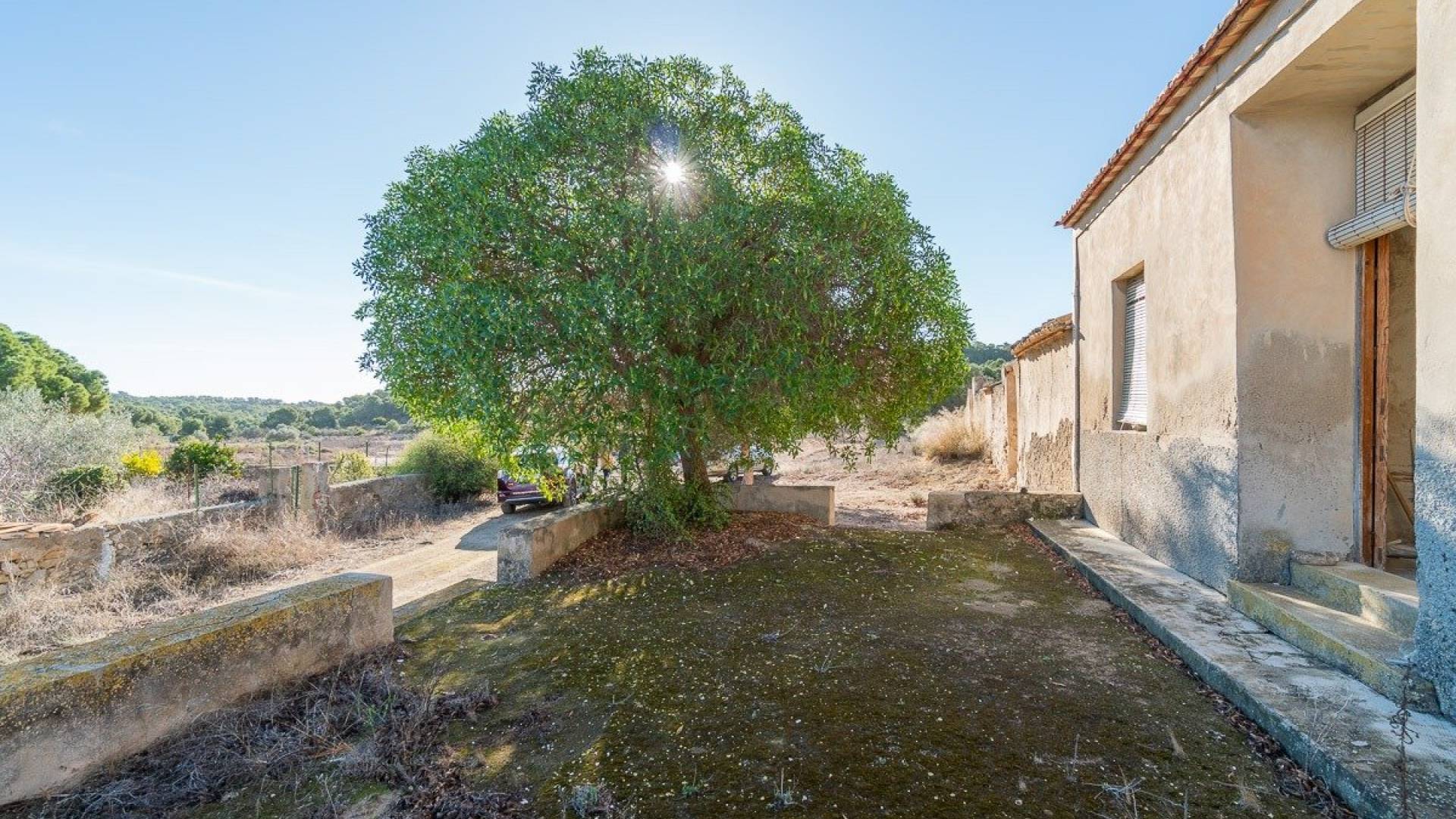 Second hand - Finca Country Property - Pilar de la Horadada - Pinar de la Perdiz