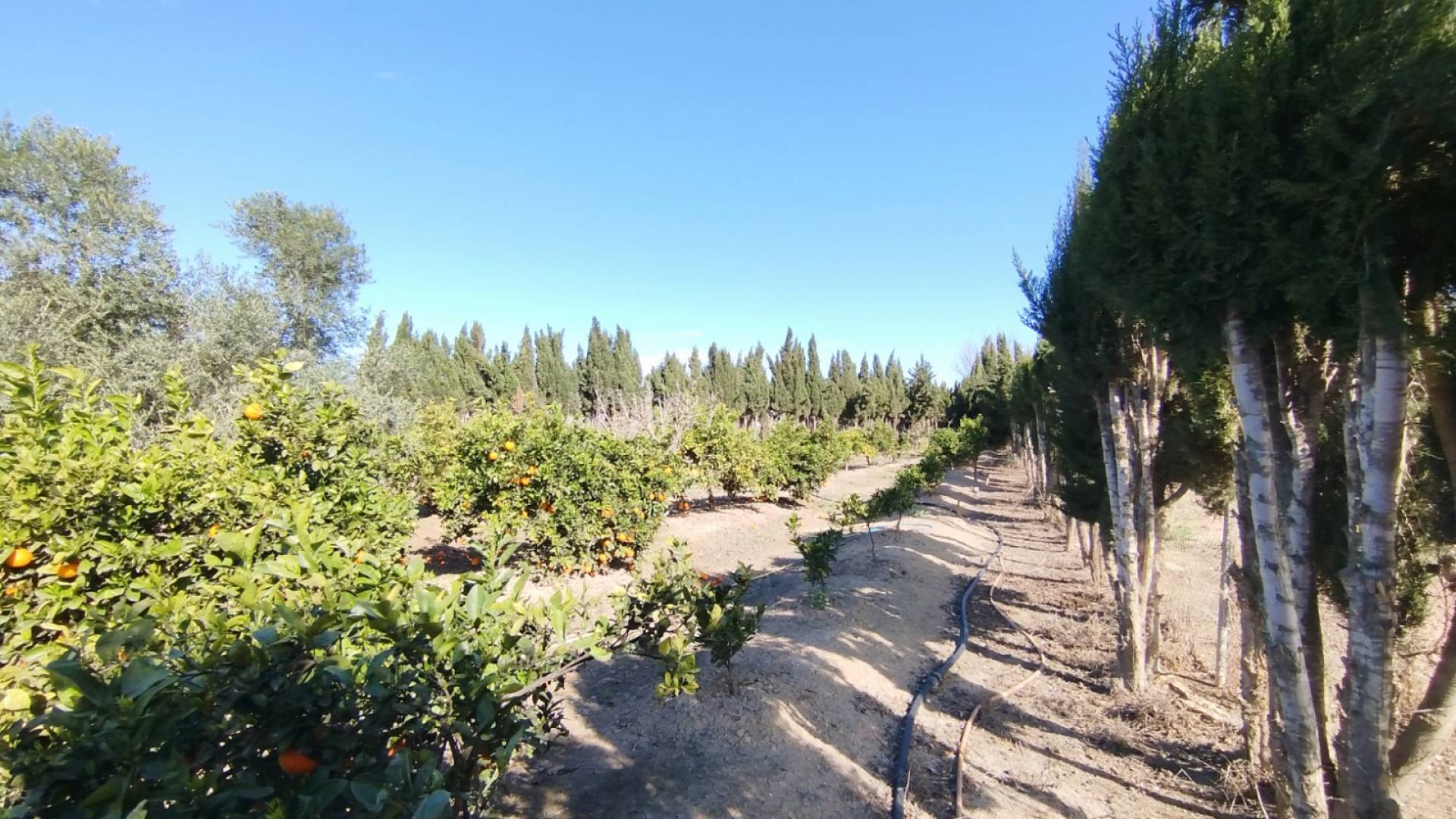 Second hand - Finca Country Property - Rojales - Partido de Saavedra