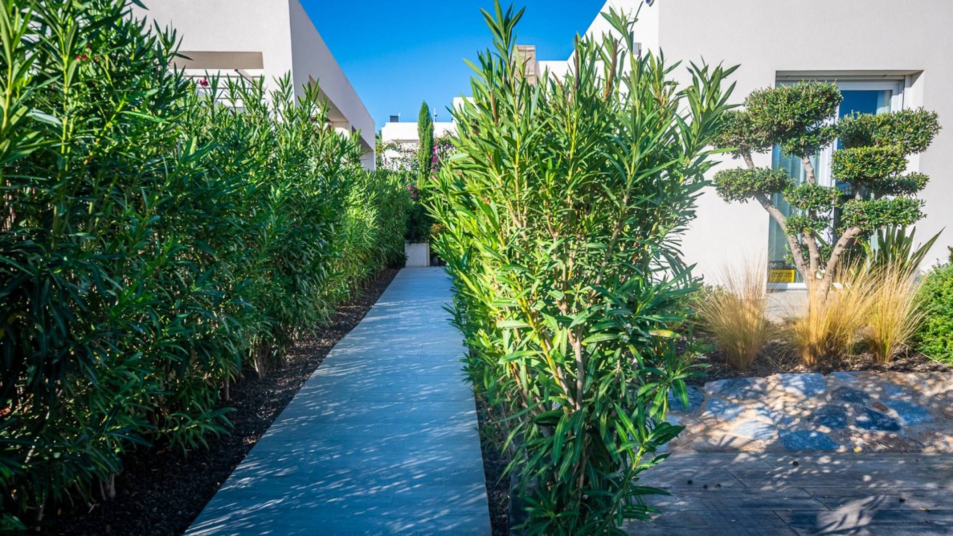 Second hand - Independent villa - Algorfa - LA FINCA GOLF / ALGORFA