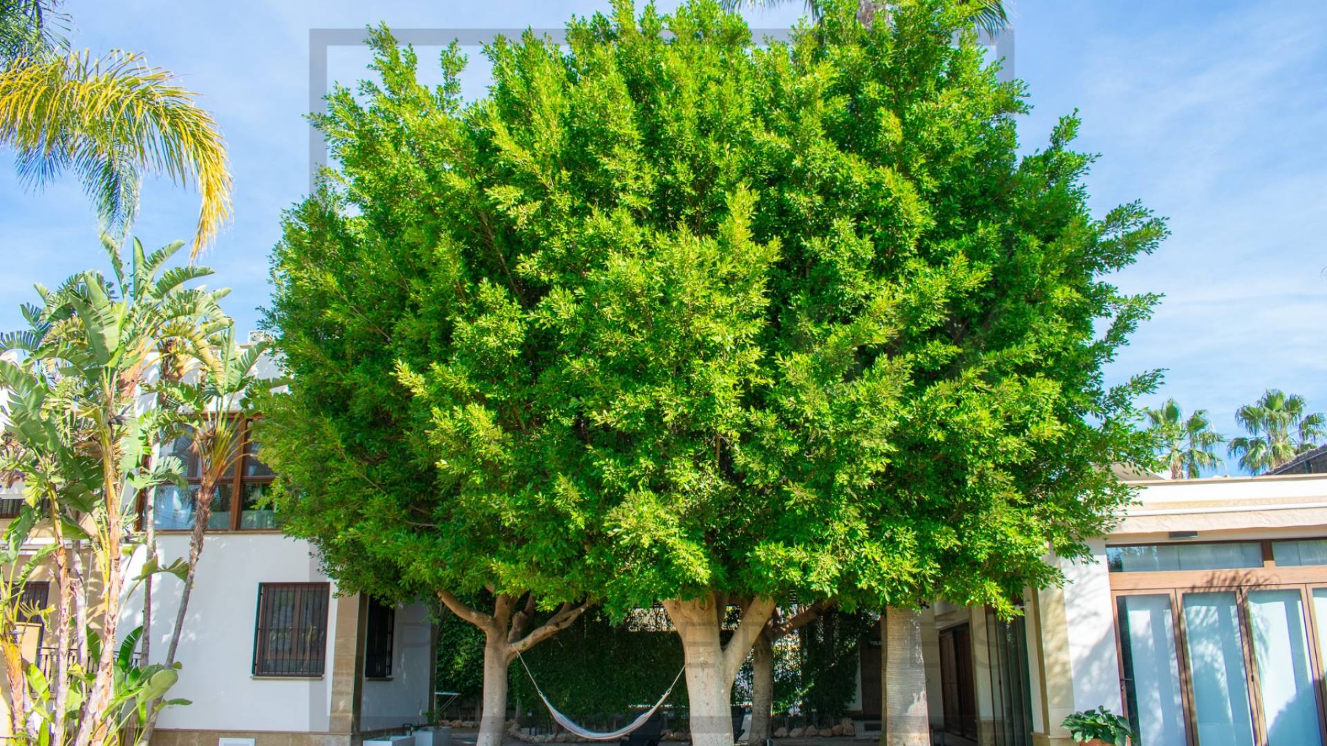 Second hand - Independent villa - Algorfa - La Finca Golf