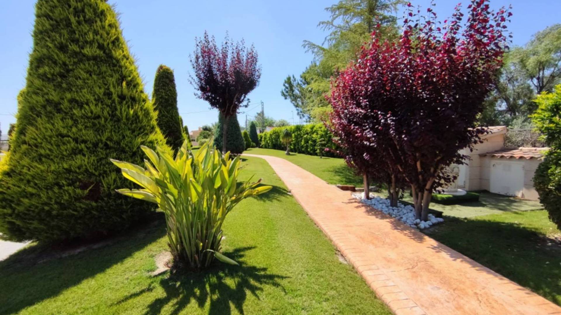 Second hand - Independent villa - Aspe