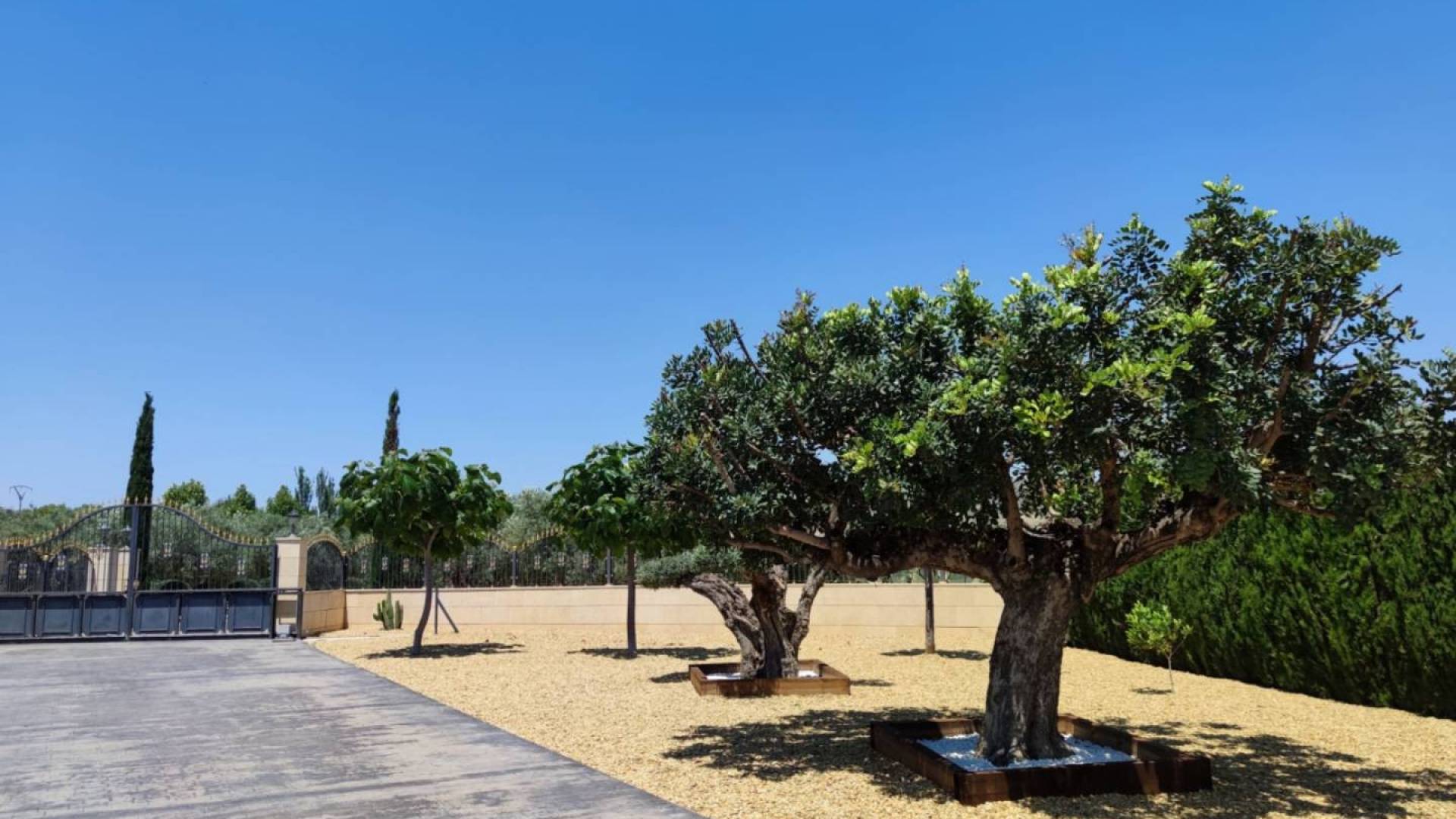 Second hand - Independent villa - Aspe