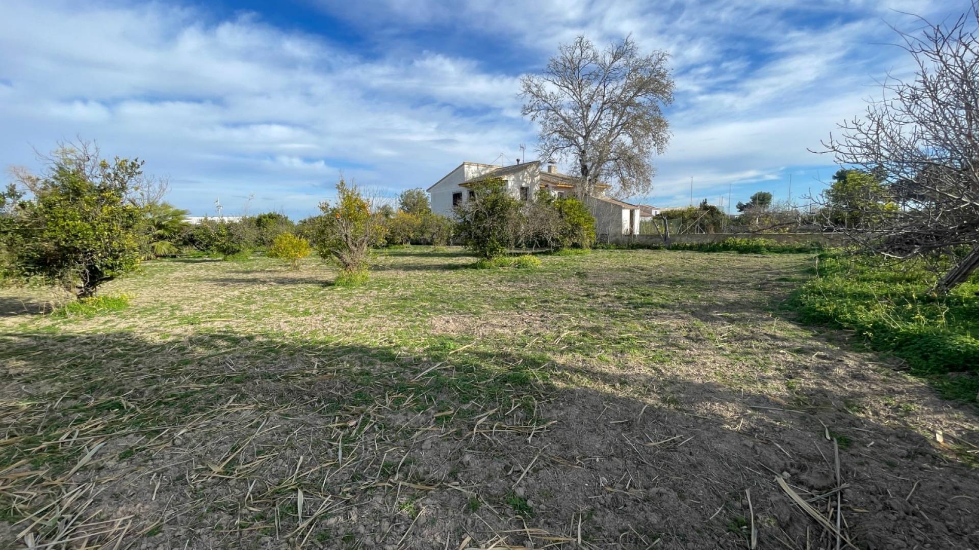 Second hand - Independent villa - Benejuzar - Comunidad Valenciana