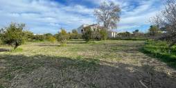 Second hand - Independent villa - Benejuzar - Comunidad Valenciana