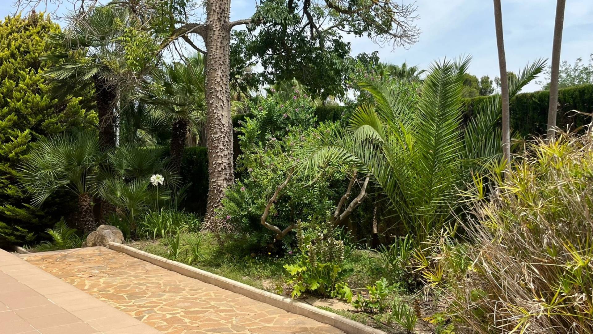 Second hand - Independent villa - Benidorm