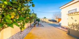 Second hand - Independent villa - Catral