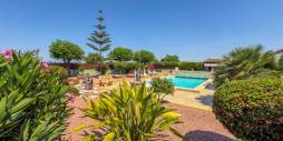 Second hand - Independent villa - Catral