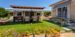 Second hand - Independent villa - Catral