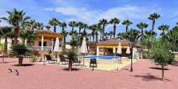 Second hand - Independent villa - Catral