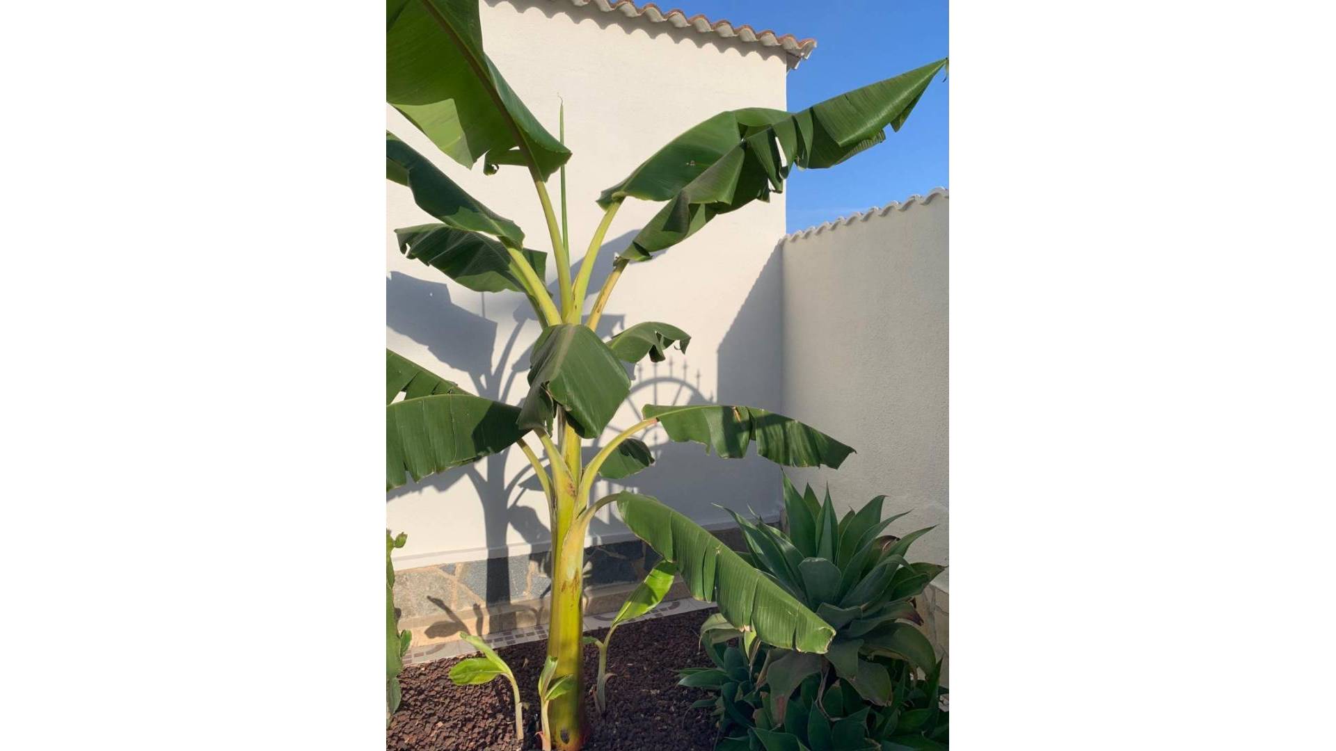 Second hand - Independent villa - Ciudad Quesada - Rojales - Ciudad Quesada