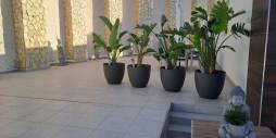 Second hand - Independent villa - Ciudad Quesada - Rojales - Ciudad Quesada