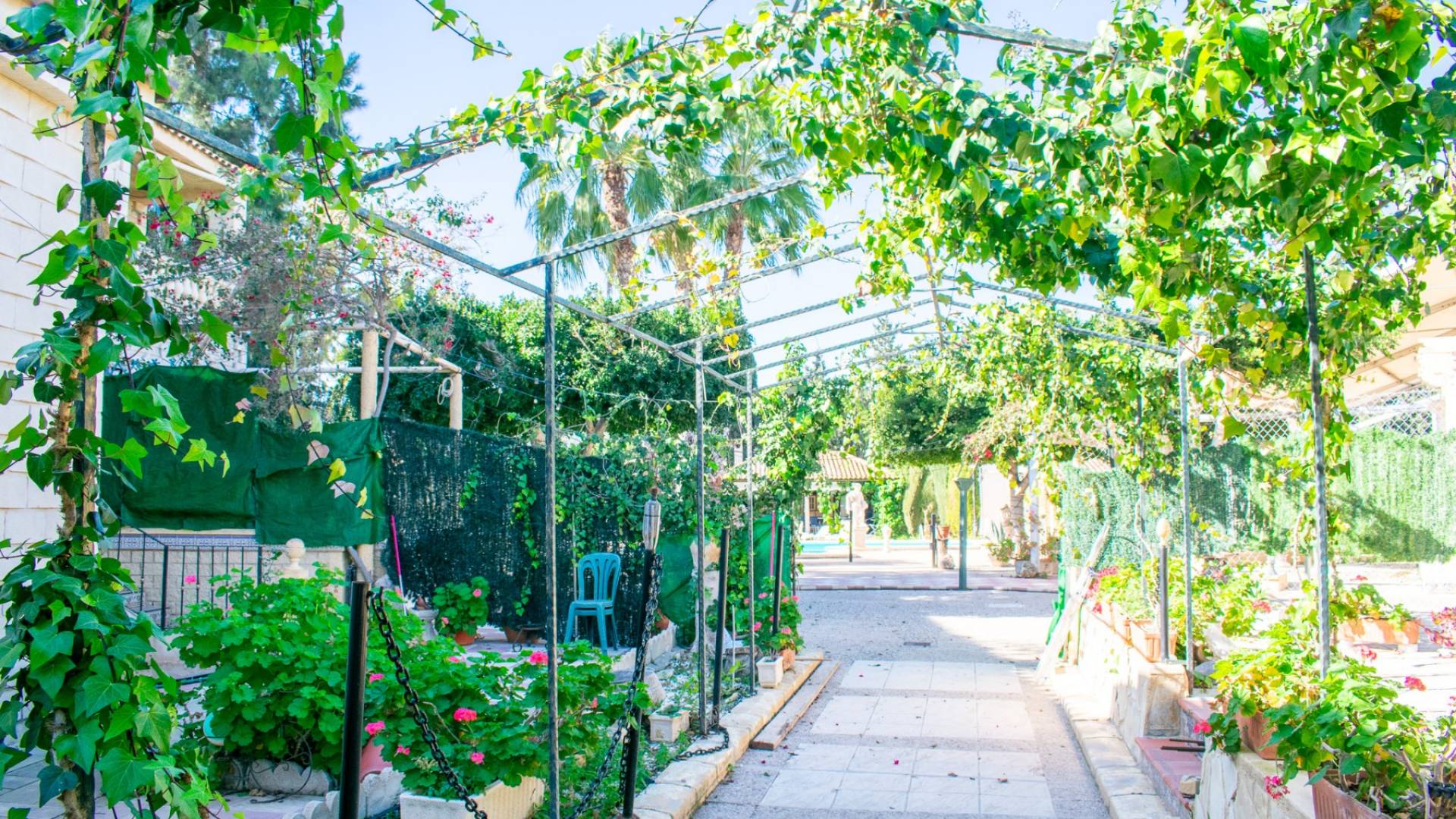 Second hand - Independent villa - Crevillente