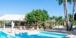 Second hand - Independent villa - Crevillente