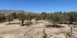 Second hand - Independent villa - Crevillente