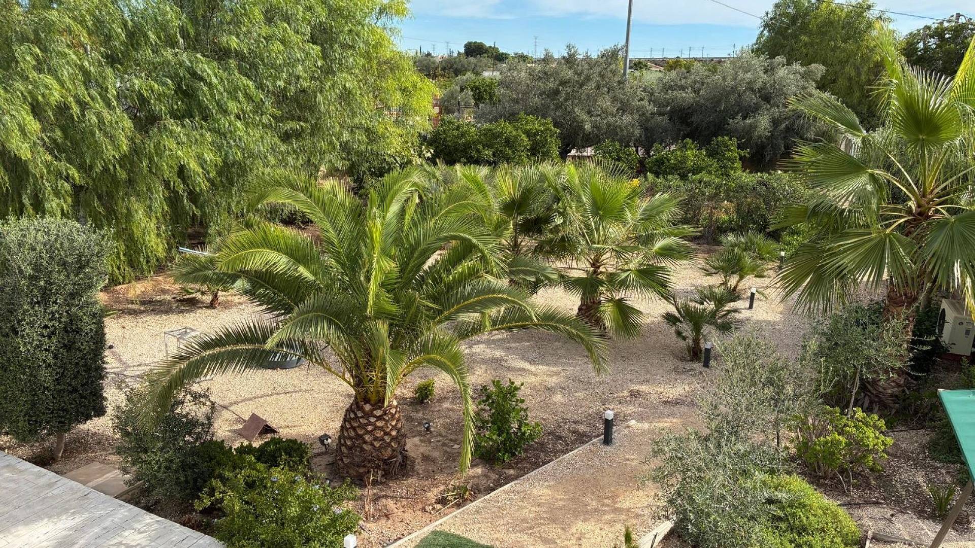 Second hand - Independent villa - Crevillente