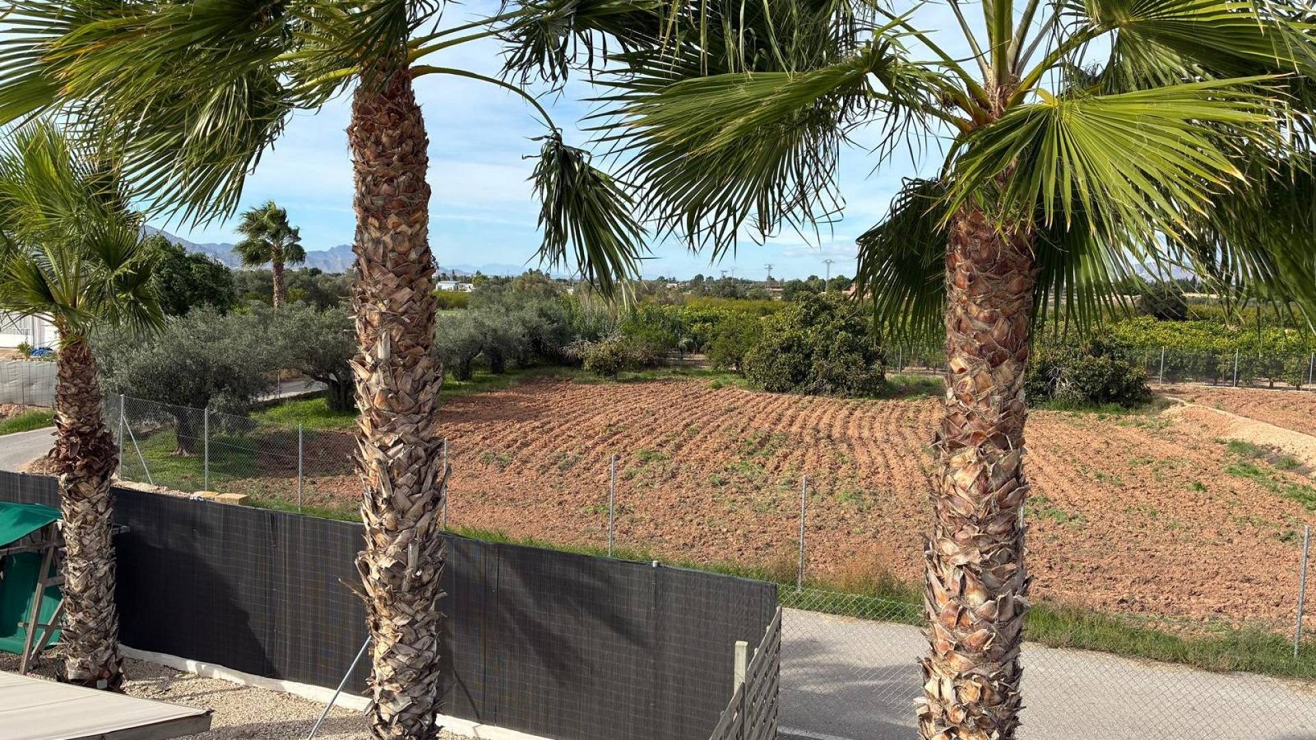 Second hand - Independent villa - Crevillente