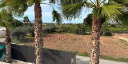 Second hand - Independent villa - Crevillente