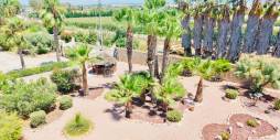 Second hand - Independent villa - Daya Vieja